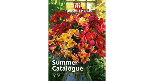Summer Catalogue 2026